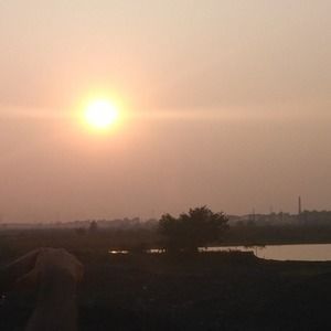 Meet your Posher, Galib